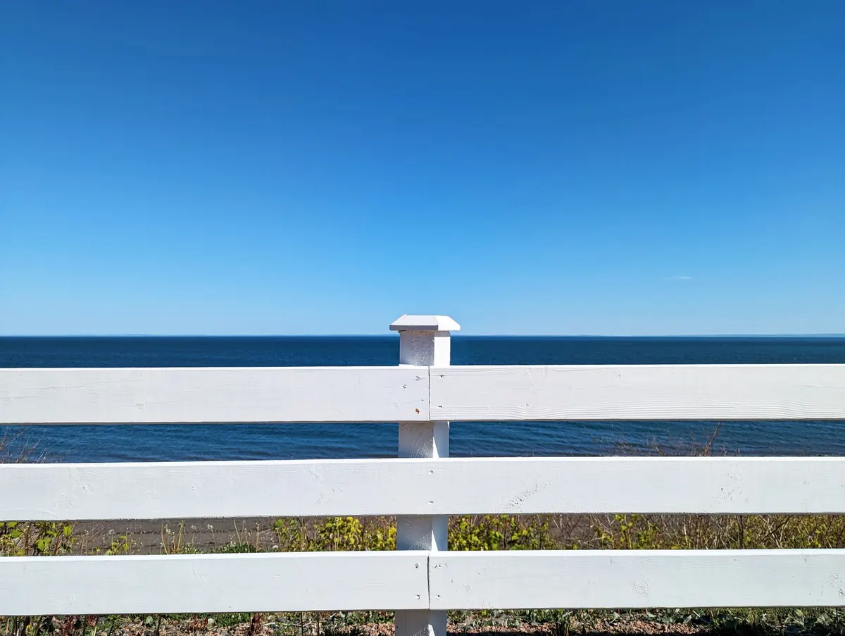 Coastal Fencing: Choosing Materials for Salt-Laden UK Gardens