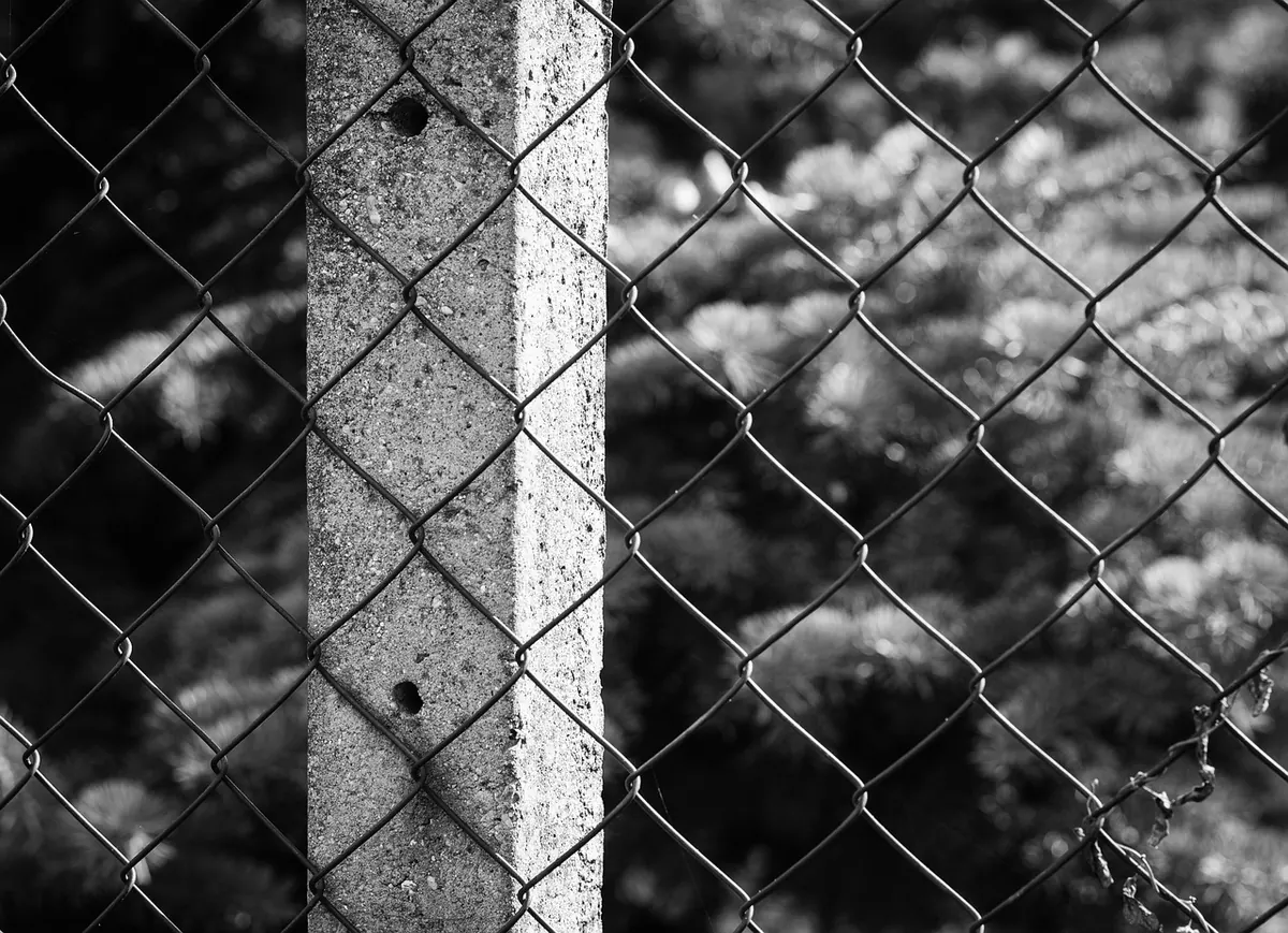 Comparing Concrete, Wood and Metal Fence Posts: Which Lasts Longest in UK Weather?